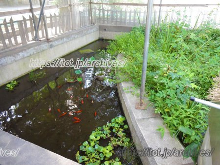 調布市立若葉小学校 校長先生インタビュー